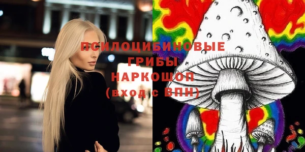 СК Верхний Тагил