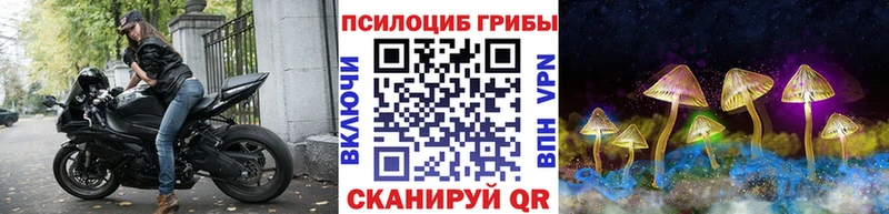 купить   Юрюзань  Псилоцибиновые грибы MAGIC MUSHROOMS 