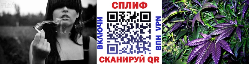 МЕГА ССЫЛКА  купить наркотики сайты  Юрюзань  Конопля план 